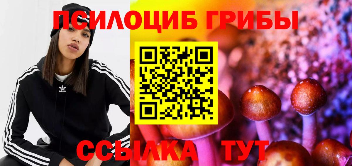 Галлюциногенные грибы GOLDEN TEACHER Красногорск