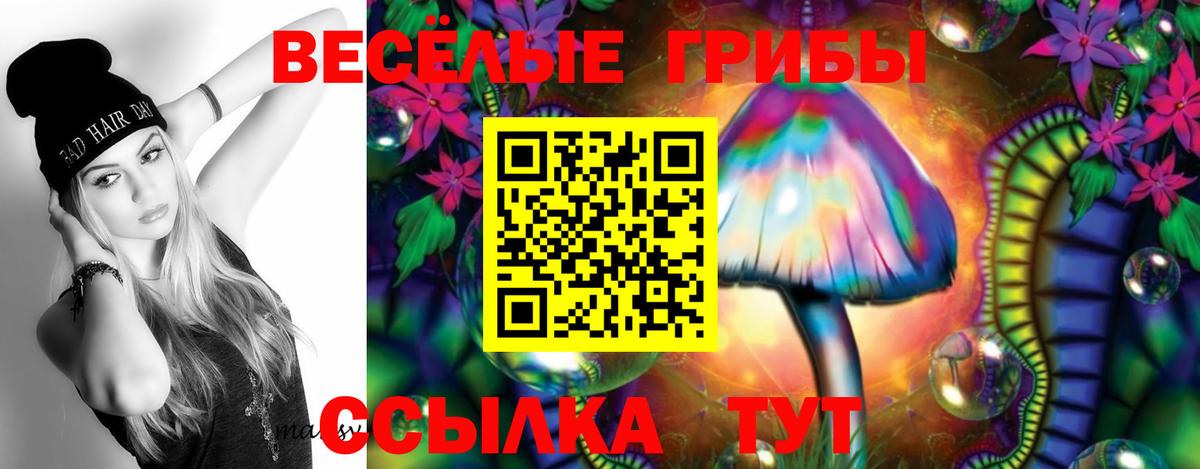 Галлюциногенные грибы Psilocybine cubensis  Вход с VPN  закладка  Псилоцибиновые грибы Psilocybine cubensis  Красногорск 